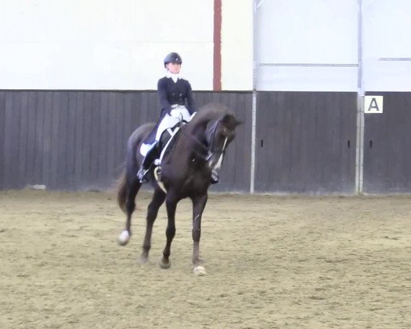 Reitturnier St. Peter Ording 2020