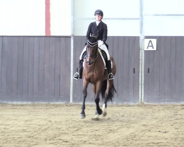 Reitturnier St. Peter Ording 2020