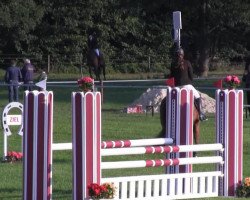 dressage horse Graf Quebec (Hanoverian, 2009, from Graf Top)