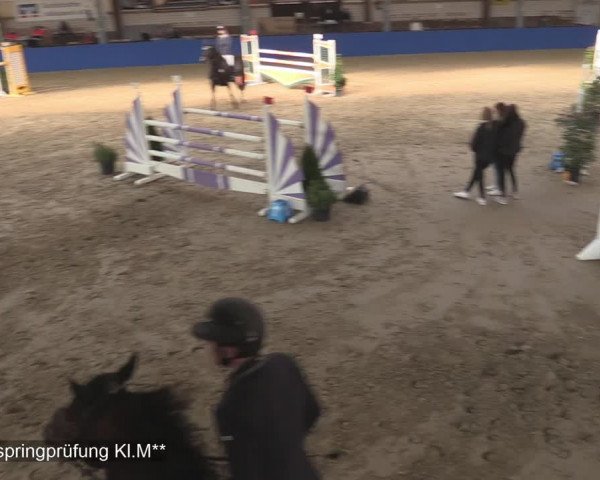 Reitturnier Isterberg 2020