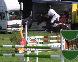 jumper Vally K (Hanoverian, 2009, from Valentino)