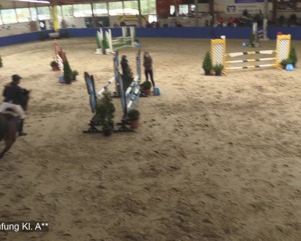 Reitturnier Isterberg 2020