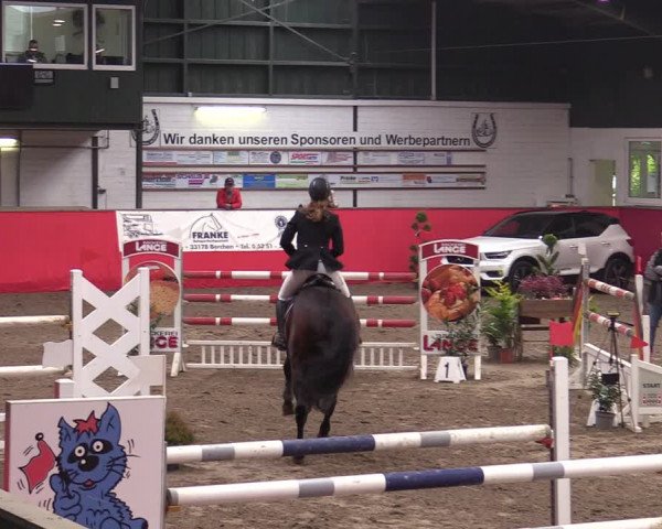 Reitturnier Salzkotten 2020
