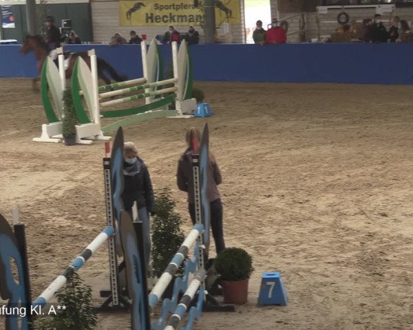 Reitturnier Isterberg 2020