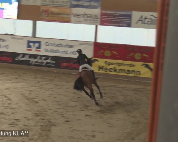 Reitturnier Isterberg 2020