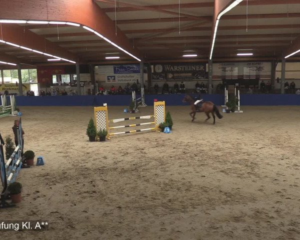 Reitturnier Isterberg 2020