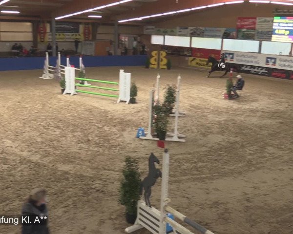 Reitturnier Isterberg 2020