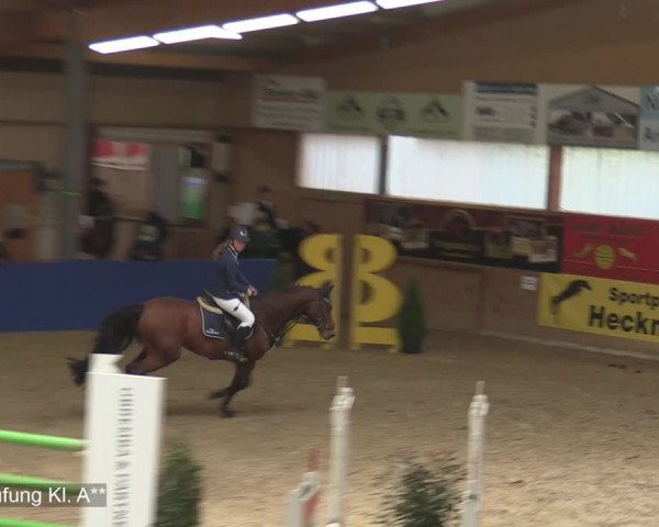Reitturnier Isterberg 2020