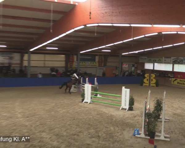 Reitturnier Isterberg 2020