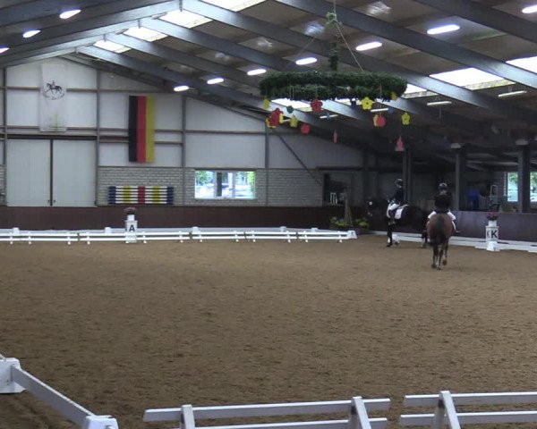 Reitturnier Kirchhellen-RSV Zur Linde 2020