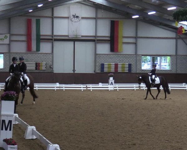 Reitturnier Kirchhellen-RSV Zur Linde 2020