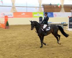 broodmare Quebella 2 (Oldenburg, 2009, from Quattro B)