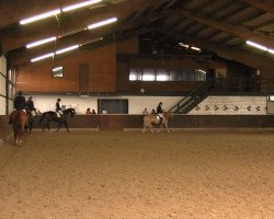 dressage horse Professor Dumbledore (Westphalian, 2002, from Djambo)