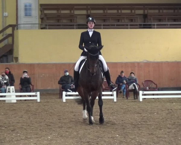 Reitturnier Frechen-Grefrath - Sonnenhof 2020