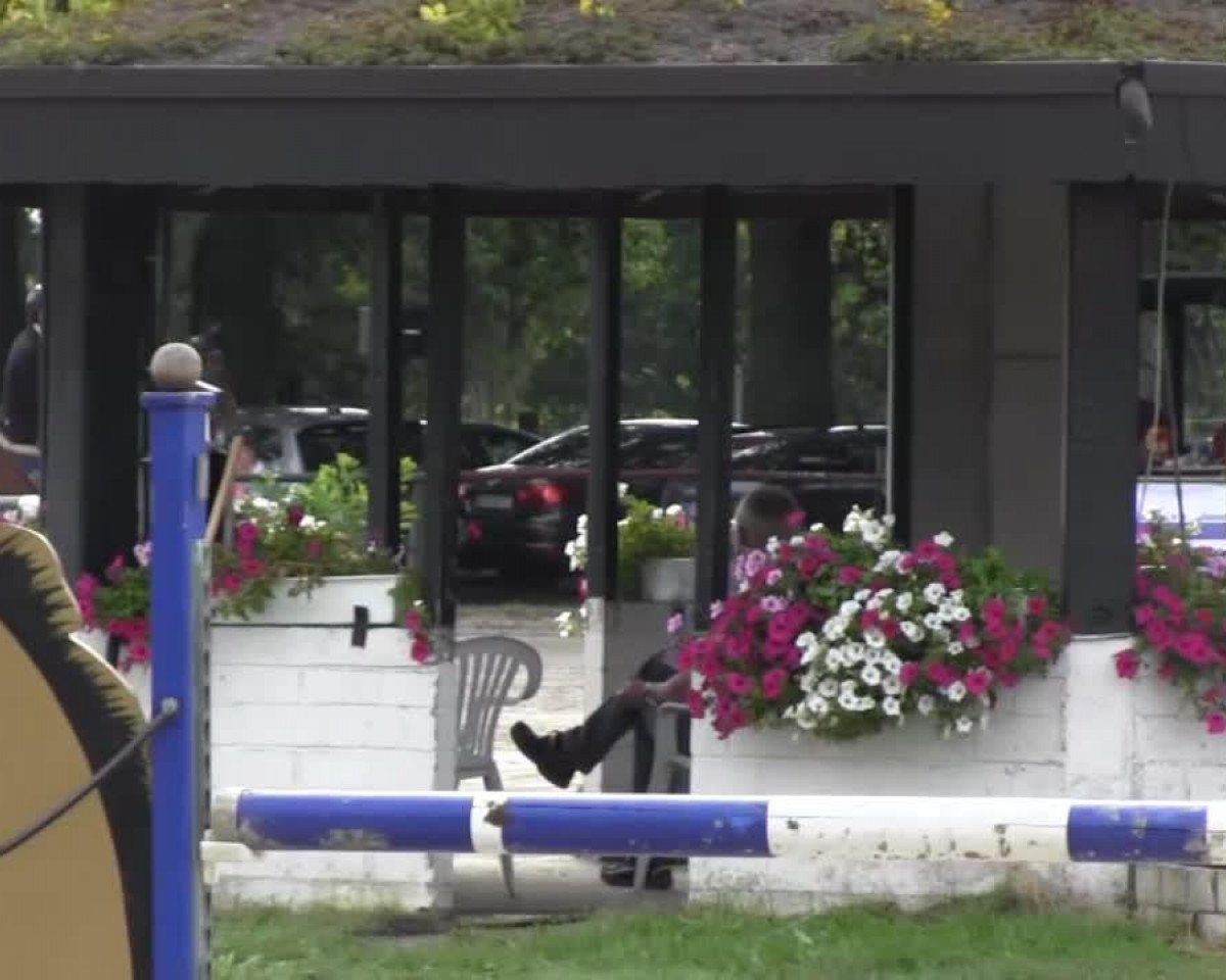 Skokan Davidson 7 (KWPN (Nizozemský teplokrevník), 2008, od Harley VDL)