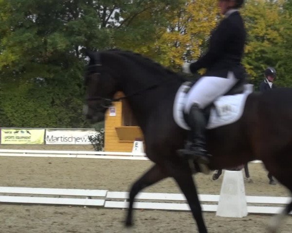Reitturnier Lindlar-Falkenhof 2020