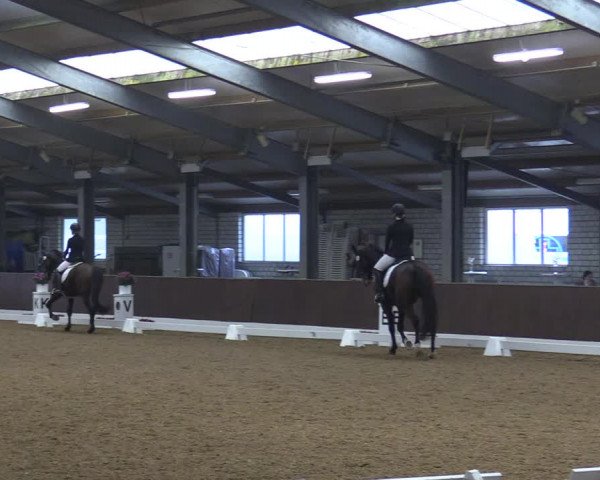 Reitturnier Kirchhellen-RSV Zur Linde 2020