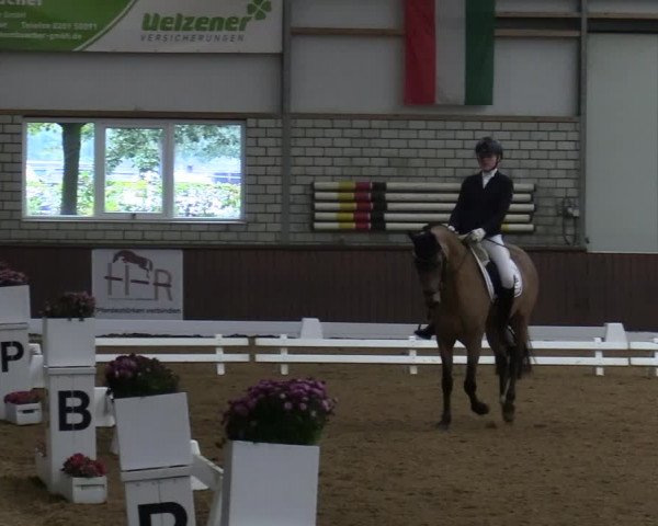 Reitturnier Kirchhellen-RSV Zur Linde 2020