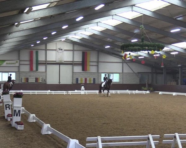 Reitturnier Kirchhellen-RSV Zur Linde 2020