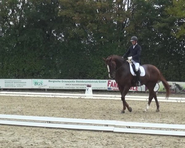 Reitturnier Lindlar-Falkenhof 2020