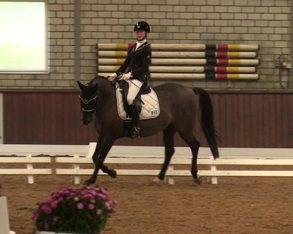 Reitturnier Kirchhellen-RSV Zur Linde 2020