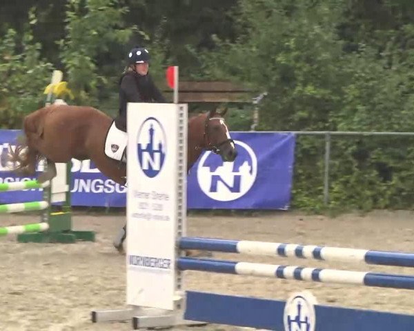 dressage horse Caramel 15 (German Riding Pony, 1997, from Agral)