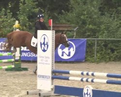 dressage horse Caramel 15 (German Riding Pony, 1997, from Agral)