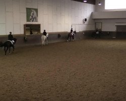 horse Lupino 15 (unknown, 2003)