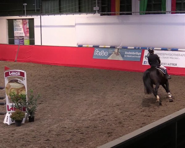 Reitturnier Salzkotten 2020