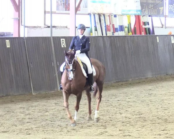 Reitturnier St. Peter Ording 2020