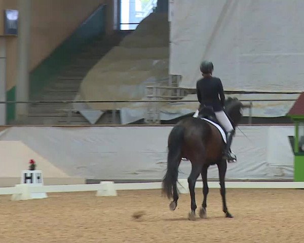 Reitturnier Kreuth 2020