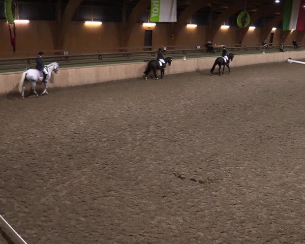 Reitturnier Hövelhof 2020