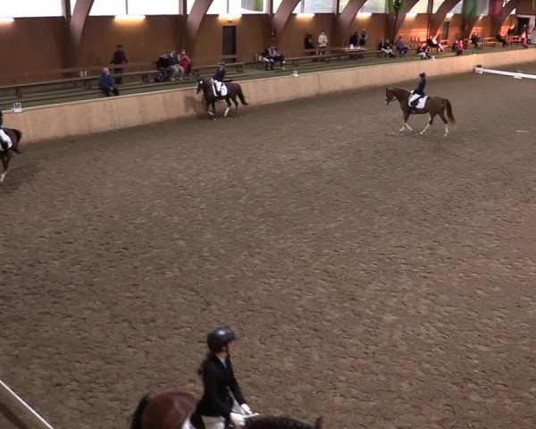 Reitturnier Hövelhof 2020