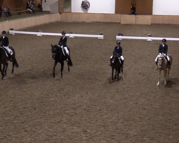 Reitturnier Hövelhof 2020