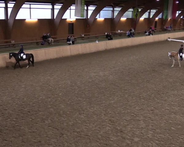 Reitturnier Hövelhof 2020