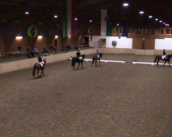 Reitturnier Hövelhof 2020