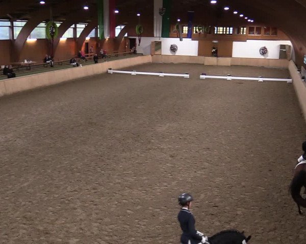 Reitturnier Hövelhof 2020