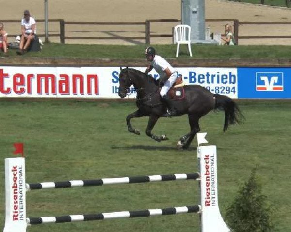jumper Brennergraaf (KWPN (Royal Dutch Sporthorse), 2006, from Quasimodo Z)