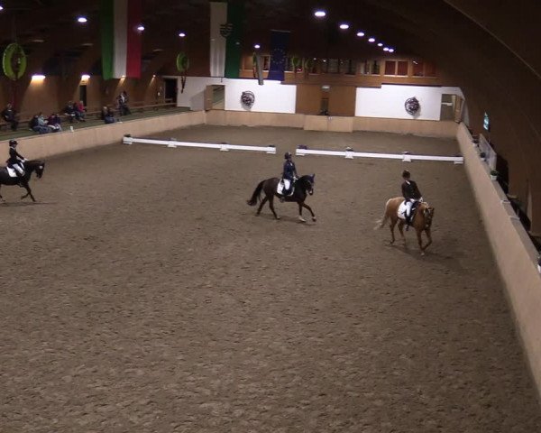 Reitturnier Hövelhof 2020