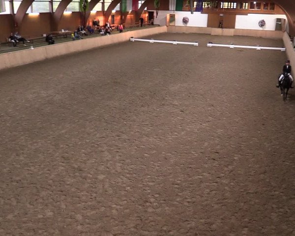 Reitturnier Hövelhof 2020