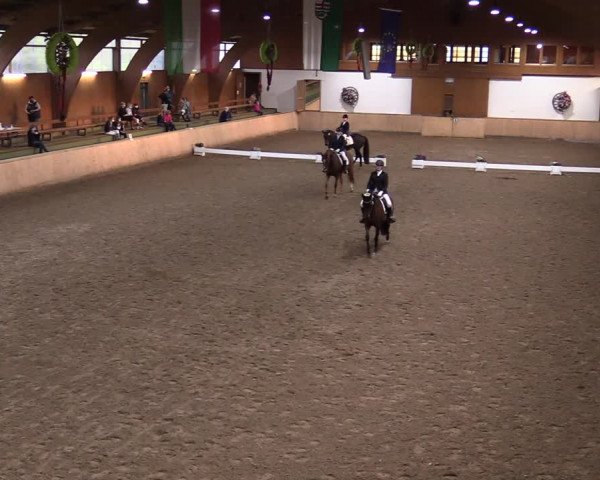 Reitturnier Hövelhof 2020