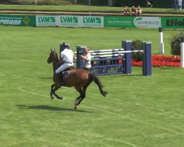jumper Casquiro (Oldenburg, 2009, from Casiro I)