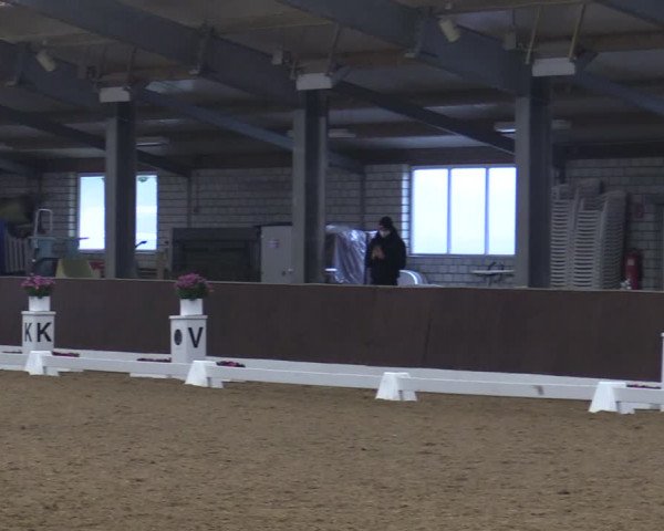 Reitturnier Kirchhellen-RSV Zur Linde 2020
