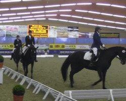 dressage horse Emmilou (Hanoverian, 2004, from El Bundy)