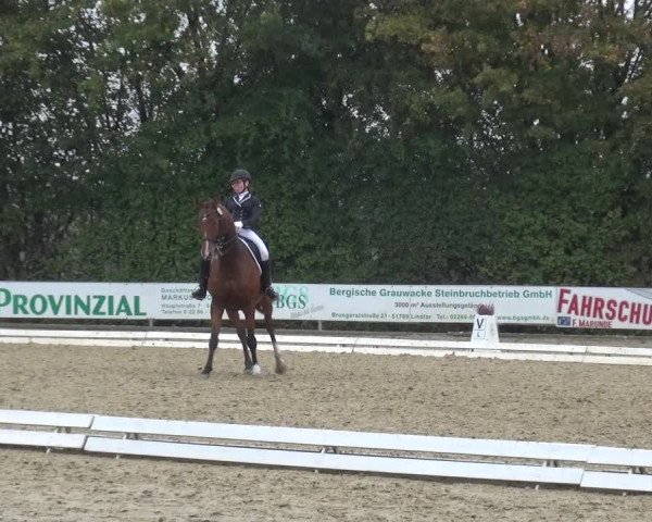 Reitturnier Lindlar-Falkenhof 2020