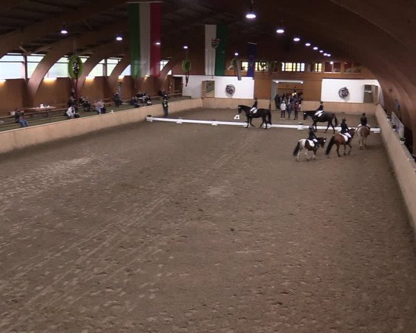 Reitturnier Hövelhof 2020