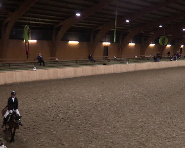 Reitturnier Hövelhof 2020