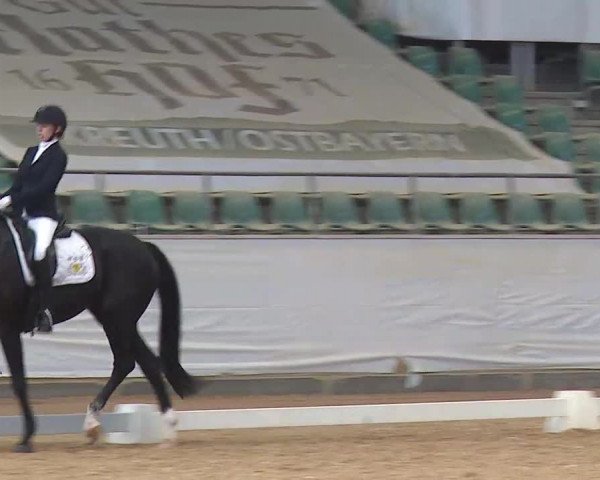Reitturnier Kreuth 2020
