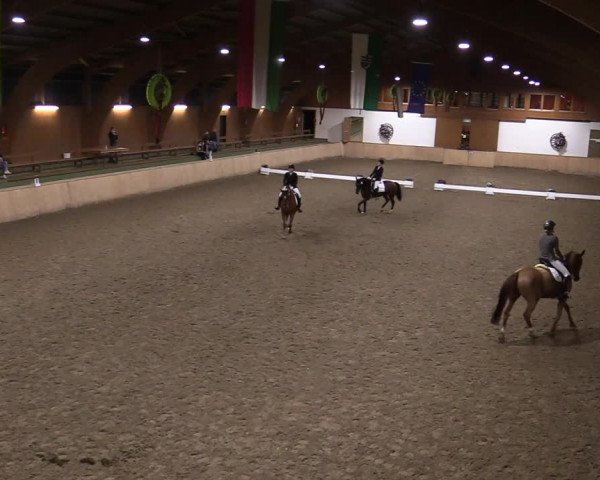 Reitturnier Hövelhof 2020