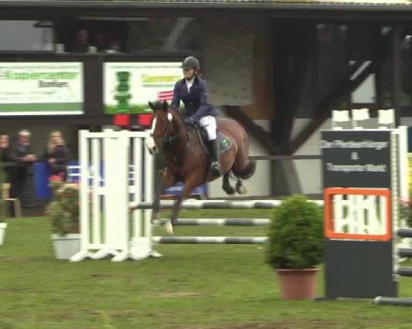 jumper Cilege (KWPN (Royal Dutch Sporthorse), 2007, from Namelus R)